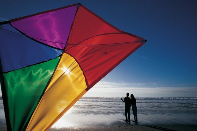 Website Design – More than a Pretty Face